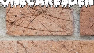 Epic European Wars vs. Tiny Tribal Skirmishes – You Won't Believe This Rant!