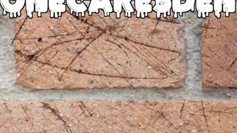 Epic European Wars vs. Tiny Tribal Skirmishes – You Won't Believe This Rant!