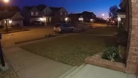 When Your Cat Becomes an Action Hero