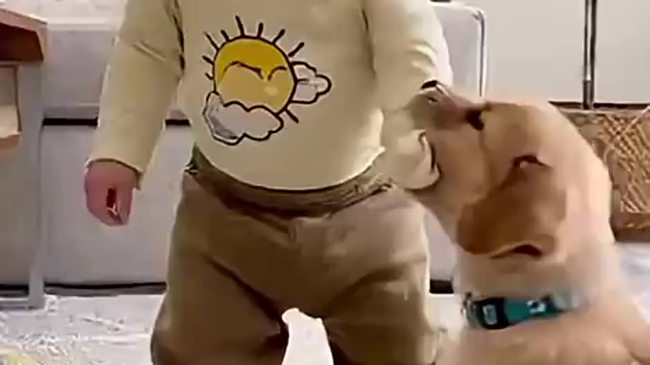 Baby Laugh Puppy Bite Rumble Thumbnail