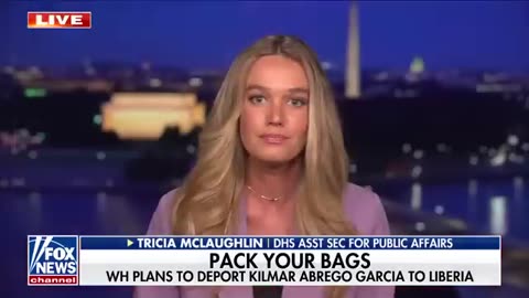 DHS official_ Democrats are giving a ‘permission slip’ to go after law enforcement