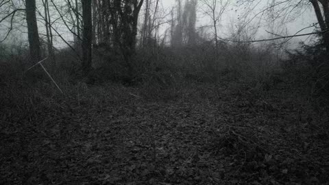 Light fog, particulates in the air