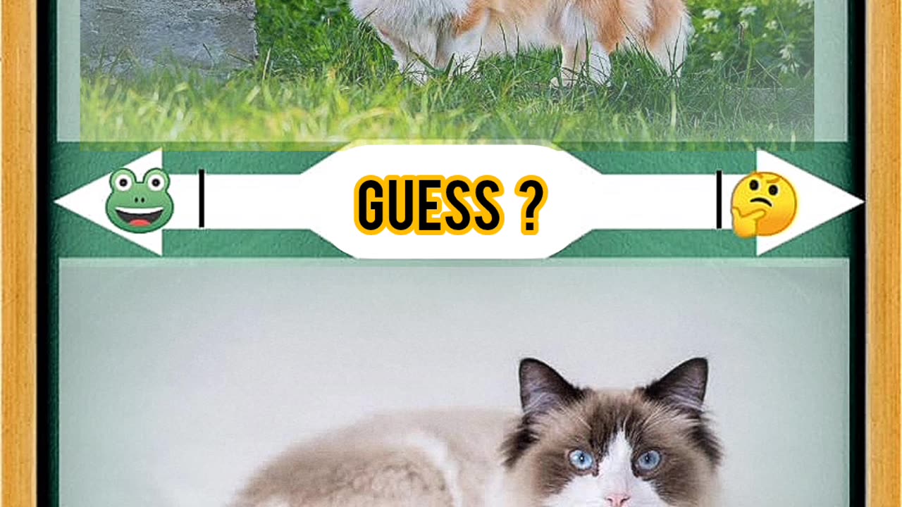 Guess the Animal - part1