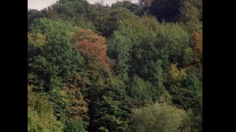 Kir Royal - Folge 03 - Das Volk sieht nichts