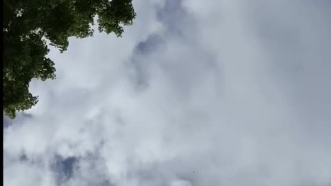 Daily Horoscope | Gemini 🌟