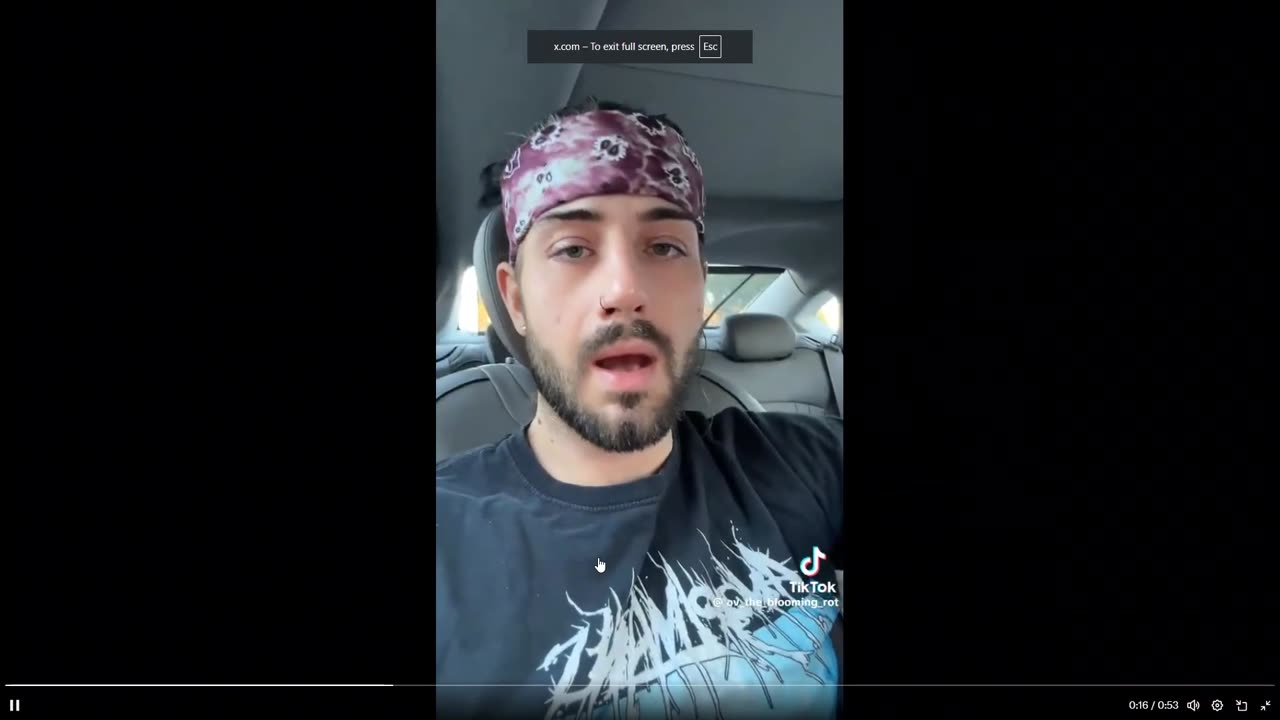 Gangstalking Confession