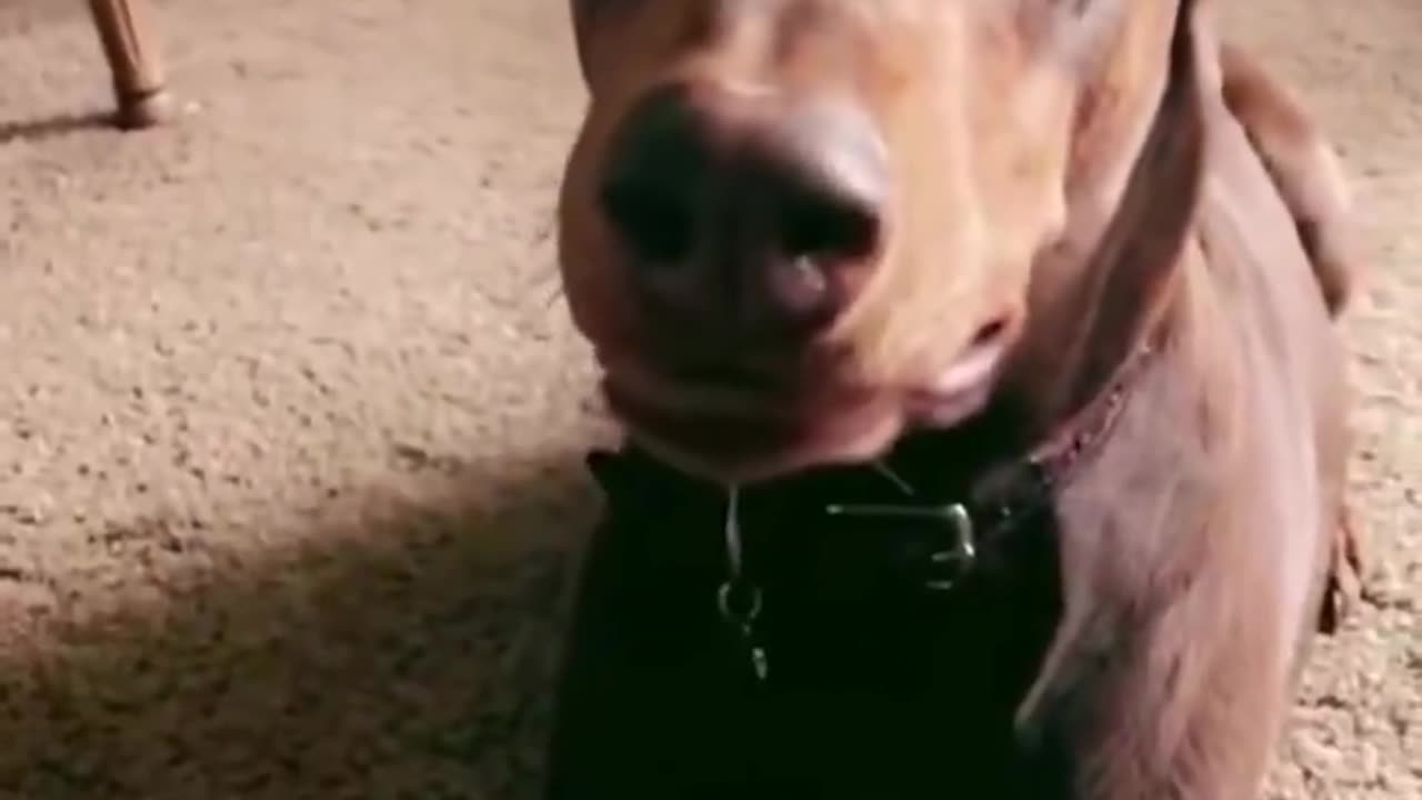 Smile For The Camera