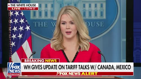 Karoline Leavitt confirms Trump's tariffs on Canada, Mexico and China will take effect