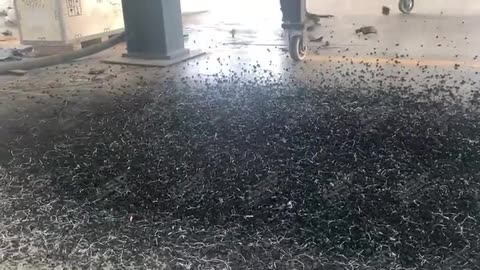 Tire Steel Wire Separator: Maximize Material Purity in Tire Recycling