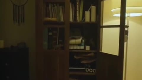 👀🚪 Haunted Basement Door? Watch This TikTok Footage! | TheHauntingHour
