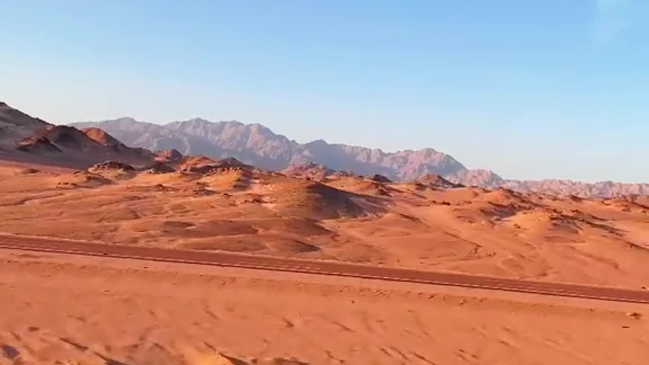 Desert Life: What Really Lives in the Sand?"