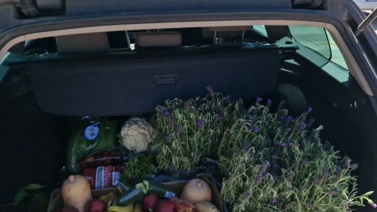 Have you ever been dumpster diving?