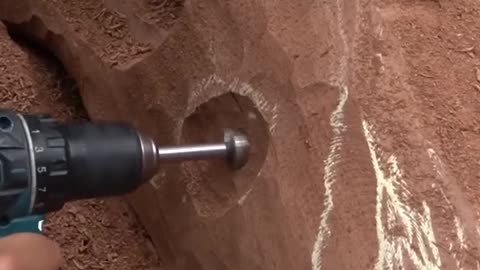 🤯✨ Man Carves Near Life-Size T-Rex Skull Out of Wood! | FeedMyCuriosity