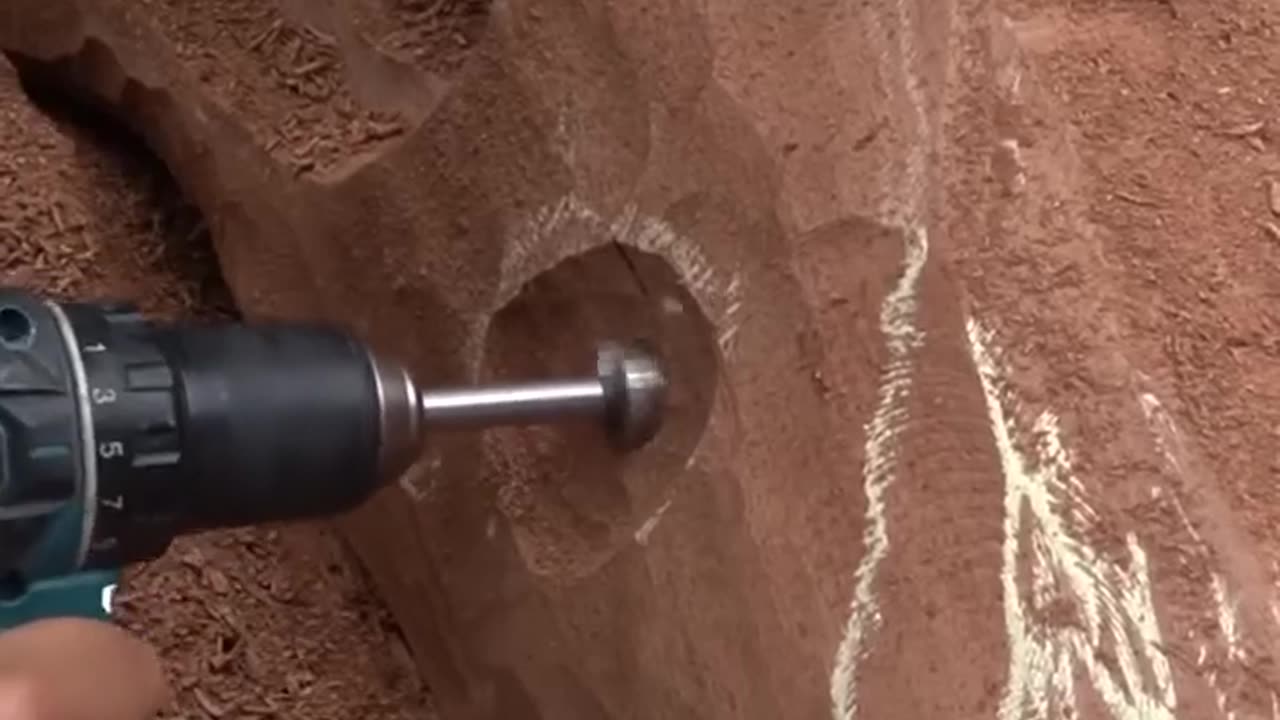 🤯✨ Man Carves Near Life-Size T-Rex Skull Out of Wood! | FeedMyCuriosity
