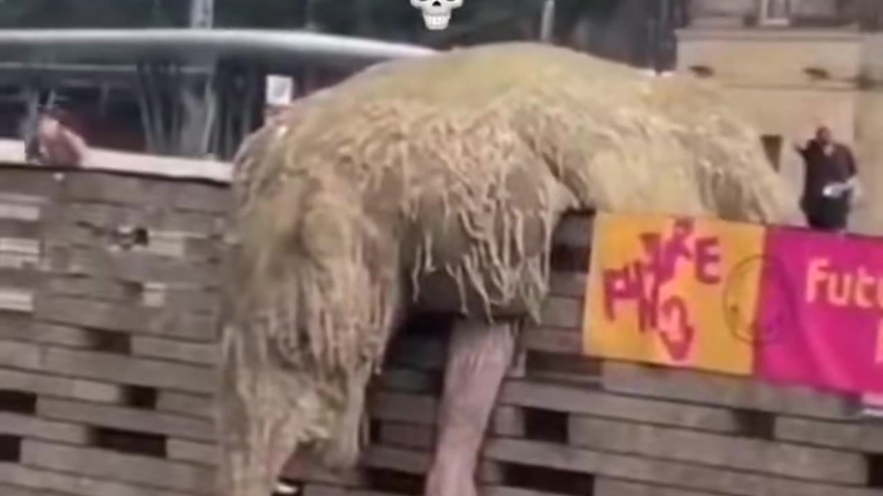 😱👻 Massive Rat or Ghost? You Won't Believe What They Caught! | TheHauntingHour