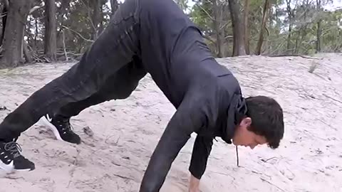How Animals Roll Down a Hill