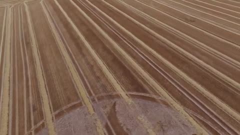 Crop Circle de Broad Hinton après la récolte