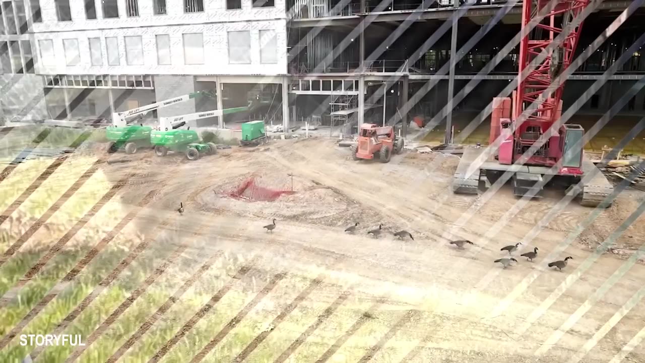 Try Not To Laugh 😂 Funniest Animal Moments 2025 | Epic Pet Fails Compilation