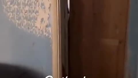 👽🤯 Unbelievable Paranormal Events! Jinn, UFOs & More | TheHauntingHour