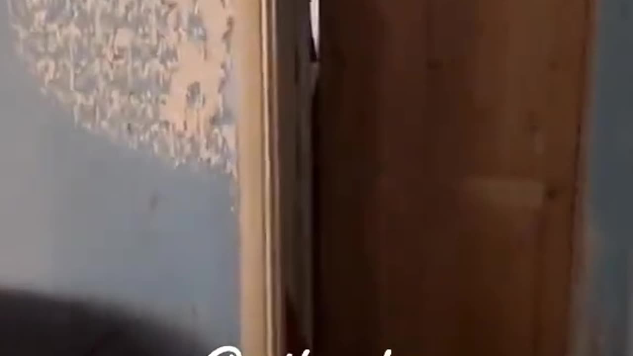 👽🤯 Unbelievable Paranormal Events! Jinn, UFOs & More | TheHauntingHour