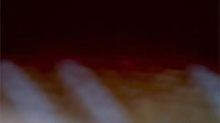 WAV - Deep Digit Wobble
