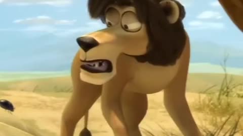 lion funny video 🦁🦁🦁😂😂😂😂😂😂😂😂#viral #trending #explorepage