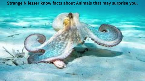 Strange N less know facts about Animals that may surprise you.