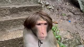 🎭🤩 This Cosplay is Mind-Blowing! | FunFM