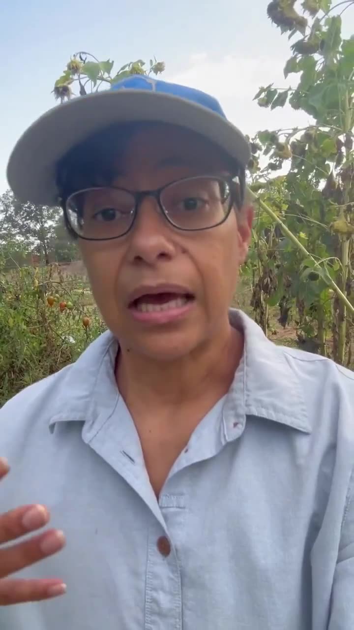 How does Tylenol leads to Autism?