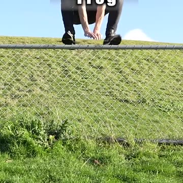 How Animals Get Over a Fence (With Emojis) 😂