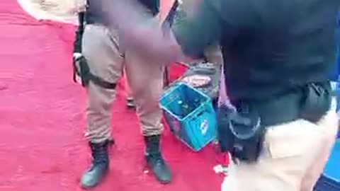 Small But Mighty Hijacked By Bouncer