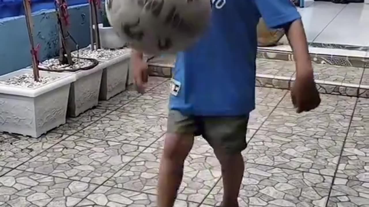"No comments... just take a look 🤣"