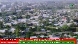 Oduu Galgala ONM-ABO Sadaasa 1-2025 itti dhiyaadhaa!