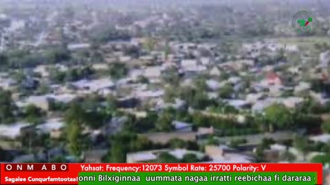 Oduu Galgala ONM-ABO Sadaasa 1-2025 itti dhiyaadhaa!