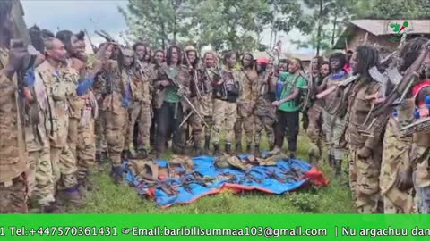 Gabaasa Tarkaanfii ONM-ABO Sadaasa 8-2025 itti dhiyaadhaa!