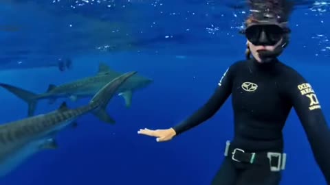"Night Diving in the Deep Sea 🌌 | Scariest Dive Ever?"