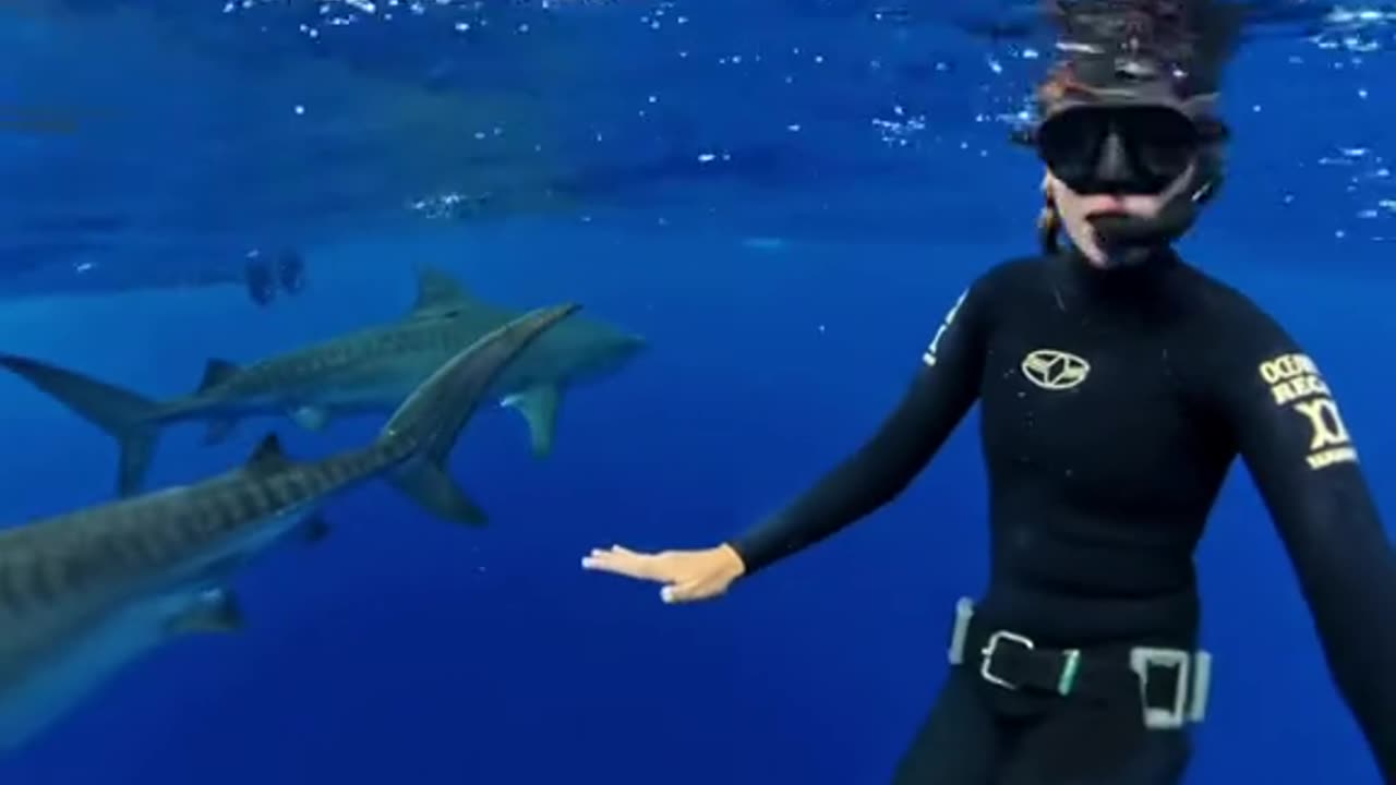 "Night Diving in the Deep Sea 🌌 | Scariest Dive Ever?"