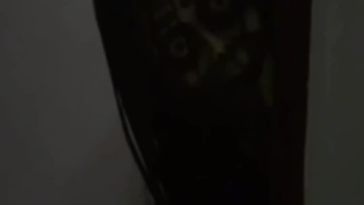 🤫🔦 Is This Morse Code... Or Something More Sinister? | TheHauntingHour