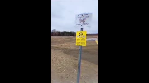 Daddy Goat 24/7 - Out Of Context Memes & Videos