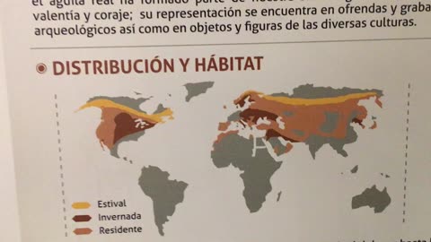 Centro Museum of Mexican Birds 3 (Saltillo, Coahuila, Mexico)