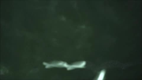 UFO IDENTIFIED Crossing Paths Over Adelaide 21 November 2025