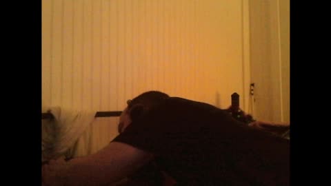 breakng news from bullshiitistan