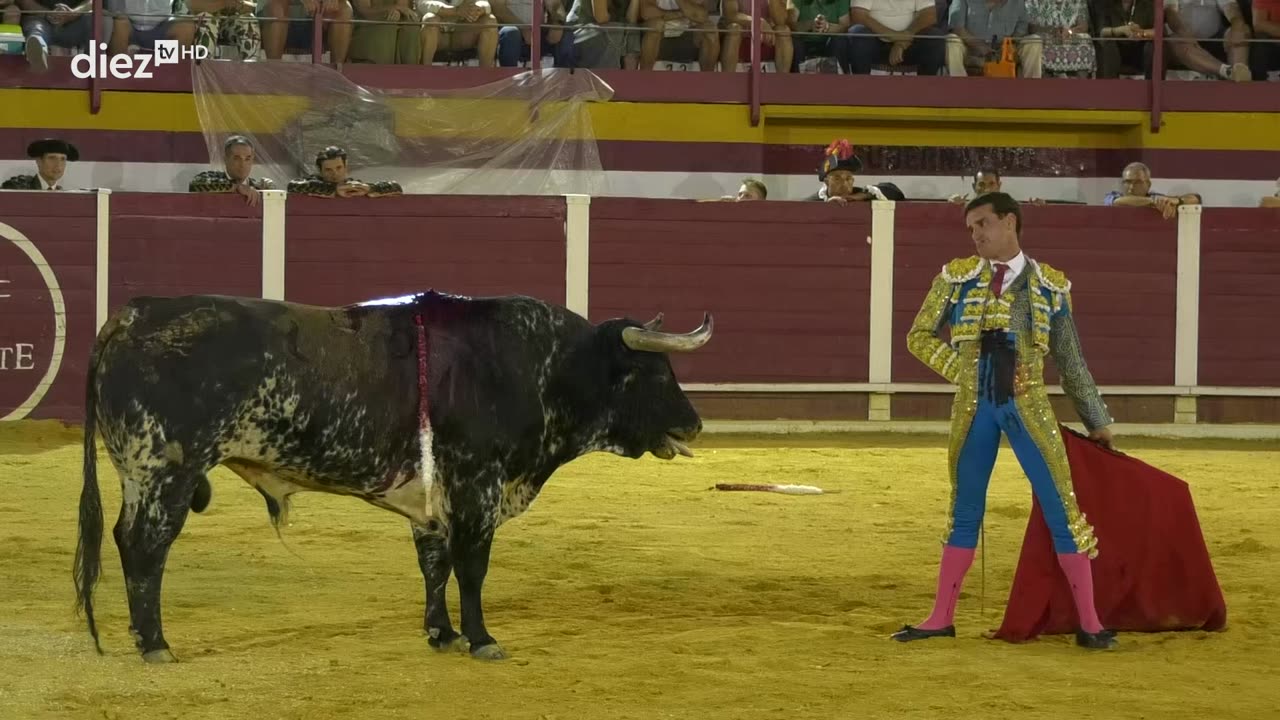T15E28 | Tendido Diez | 27-08-2025