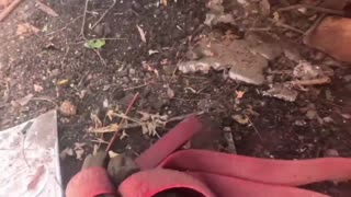 Ivan! Get the Rubber Bands Out! This is the Big One!(Russian Soldier On ATV Absorbs Ukrainian Drone)