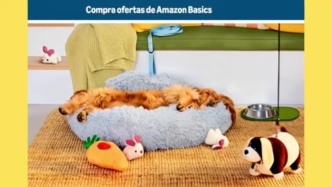 TODO PARA LAS MASCOTAS, QUE TE ESTÁN PIDIENDO