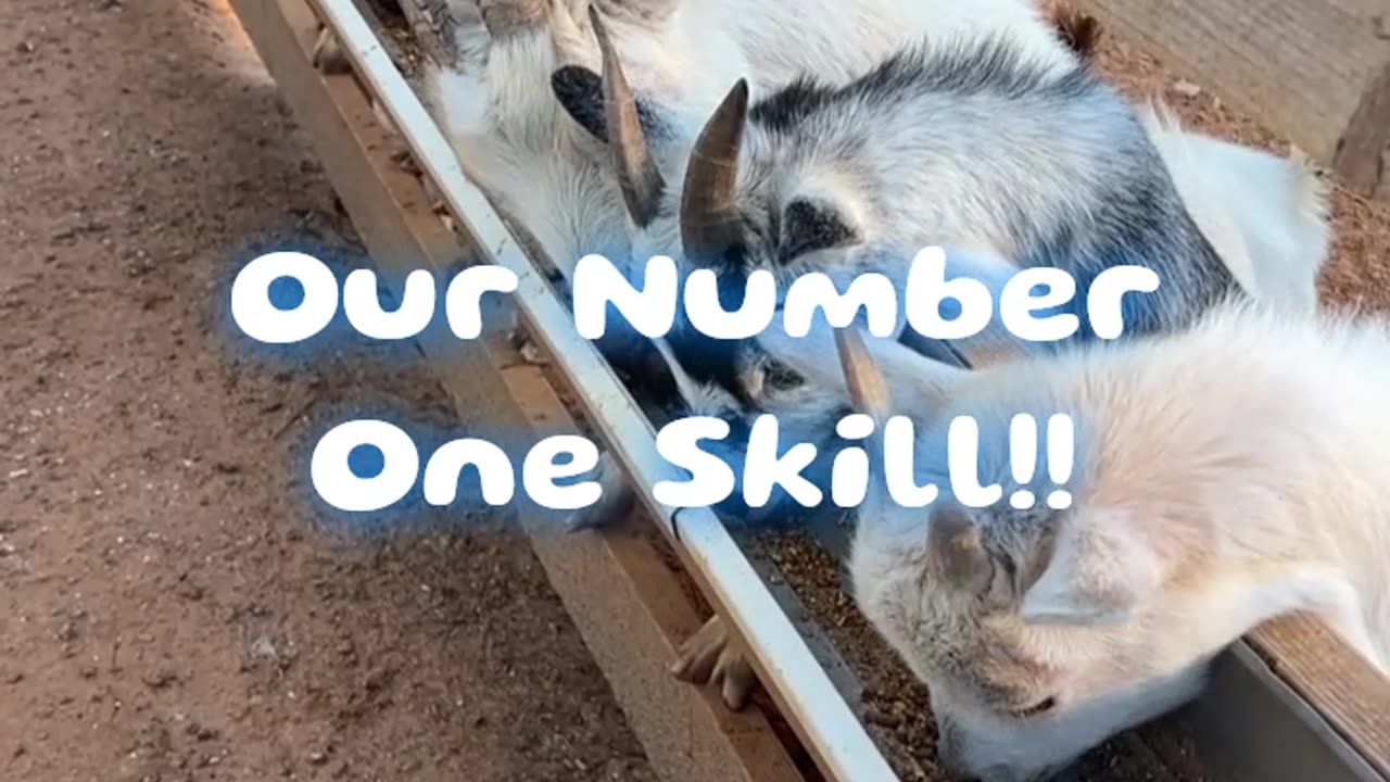 Our Number One Skill