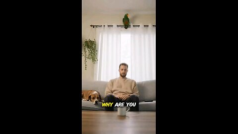 Apparently… I’m Existing Incorrectly #parrotcomedy #funny #funnyanimal #parrot #funnyparrot
