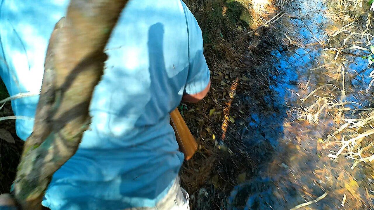 Christmas Eve Bear Hunt