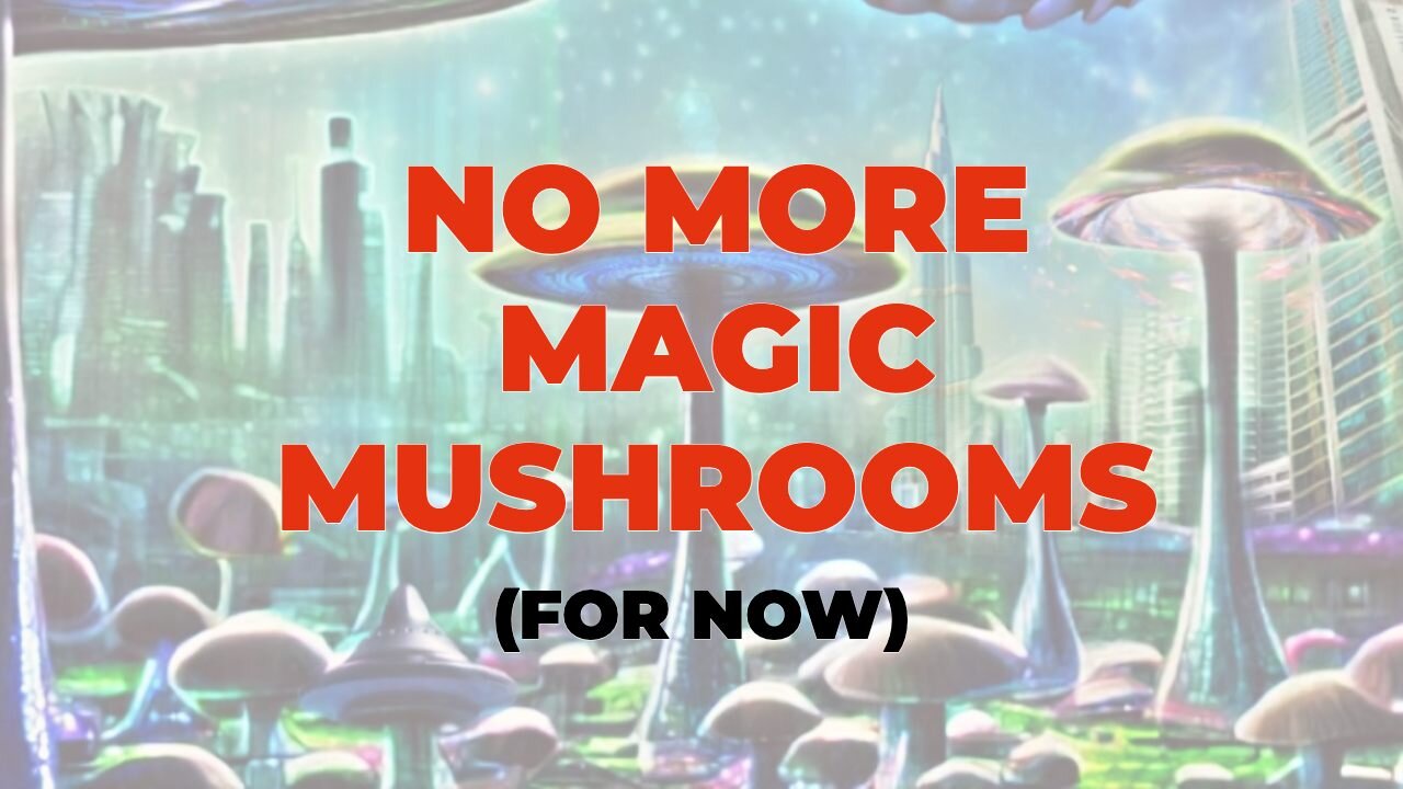I Am Quitting Magic Mushrooms