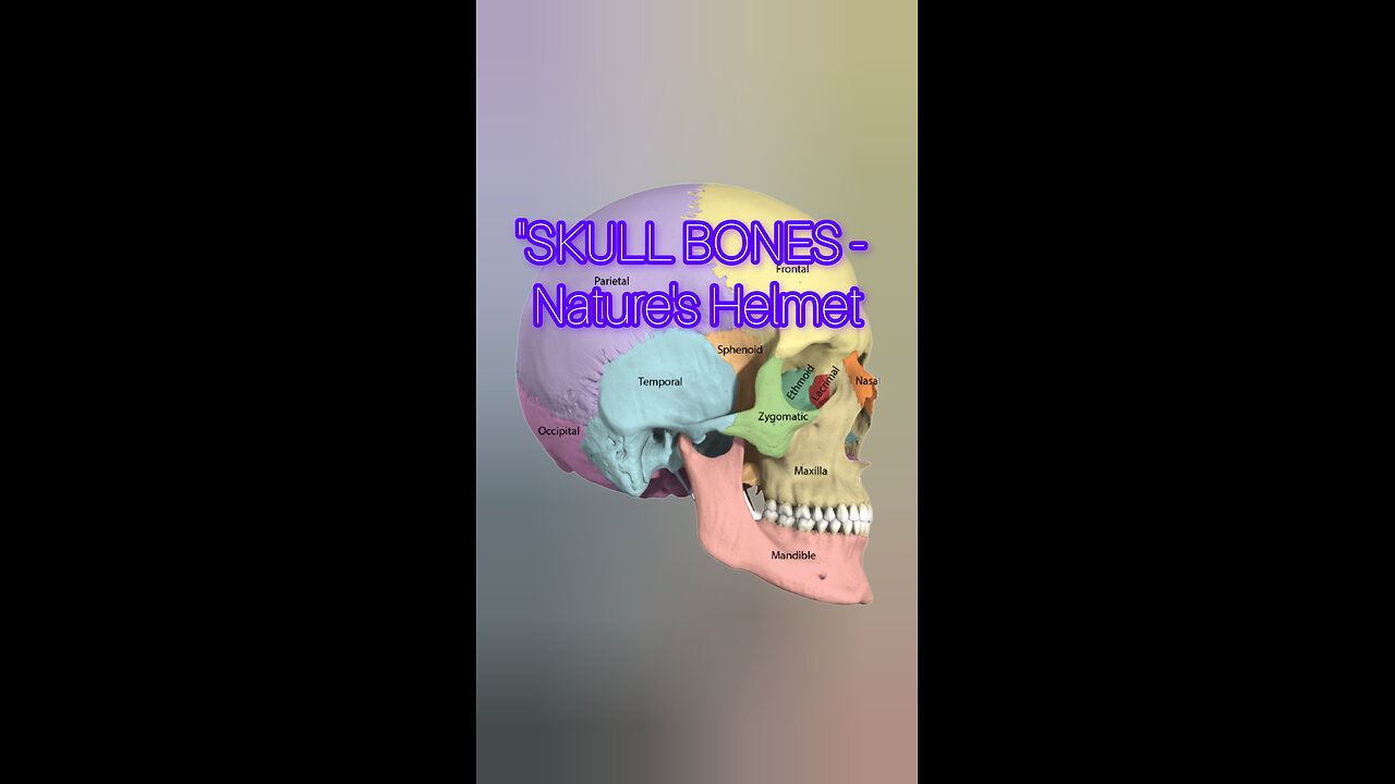 "SKULL BONES - Nature's Helmet
